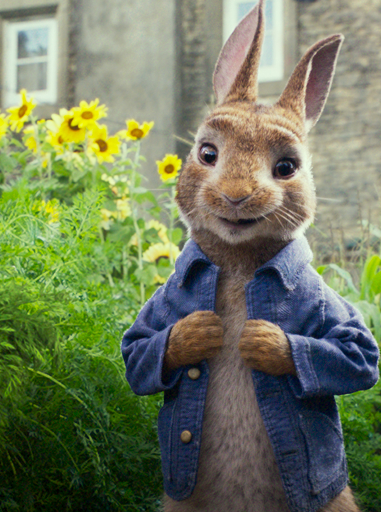 Peter Rabbit Mive Peter Rabbit's Instagram, Twitter & Facebook on IDCrawl
