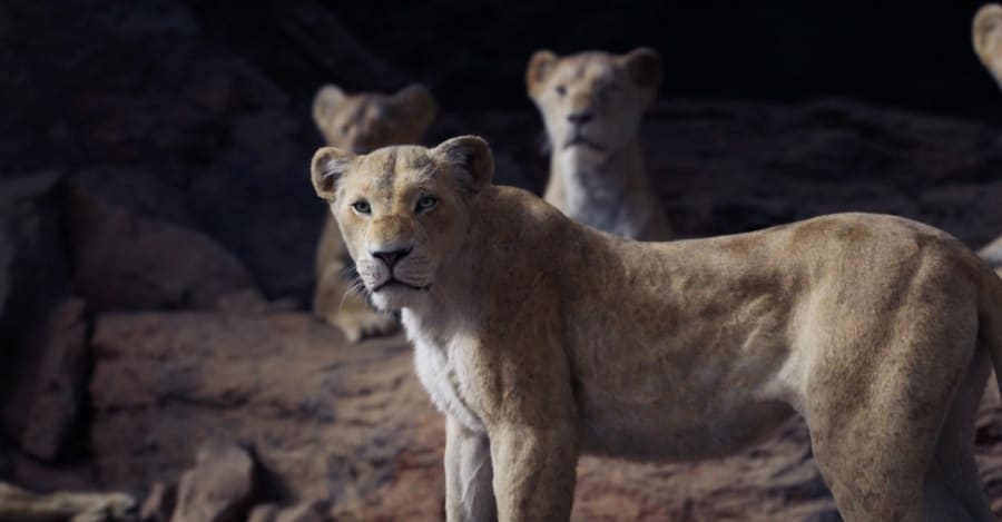 The Lion King S Superstar Voice Actors The Lion King S Superstar Voice Actors