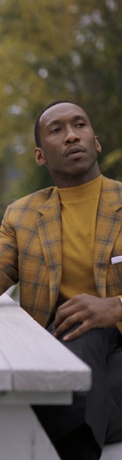 Green book movie store 123movies