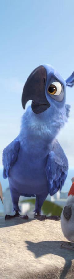 Rio 2 Now Available On Demand