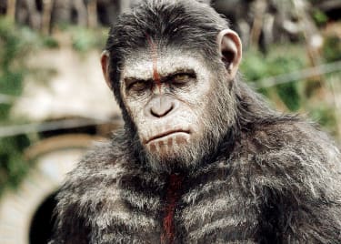 Planet of the Apes: Caesar Evolves