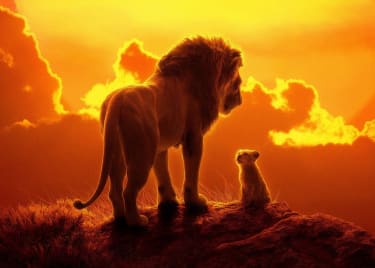 The Music of The Lion King