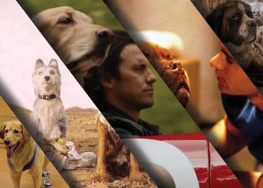 5 Dog Movies To Check Out Before The Call of the Wild