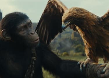 The Kingdom Of The Planet Of The Apes Trailer Is Majestic