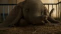 movie still image thumbnail