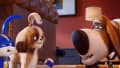 movie still image thumbnail