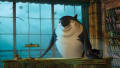 movie still image thumbnail