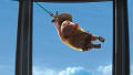 movie still image thumbnail