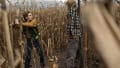 movie still image thumbnail