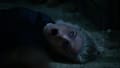 movie still image thumbnail