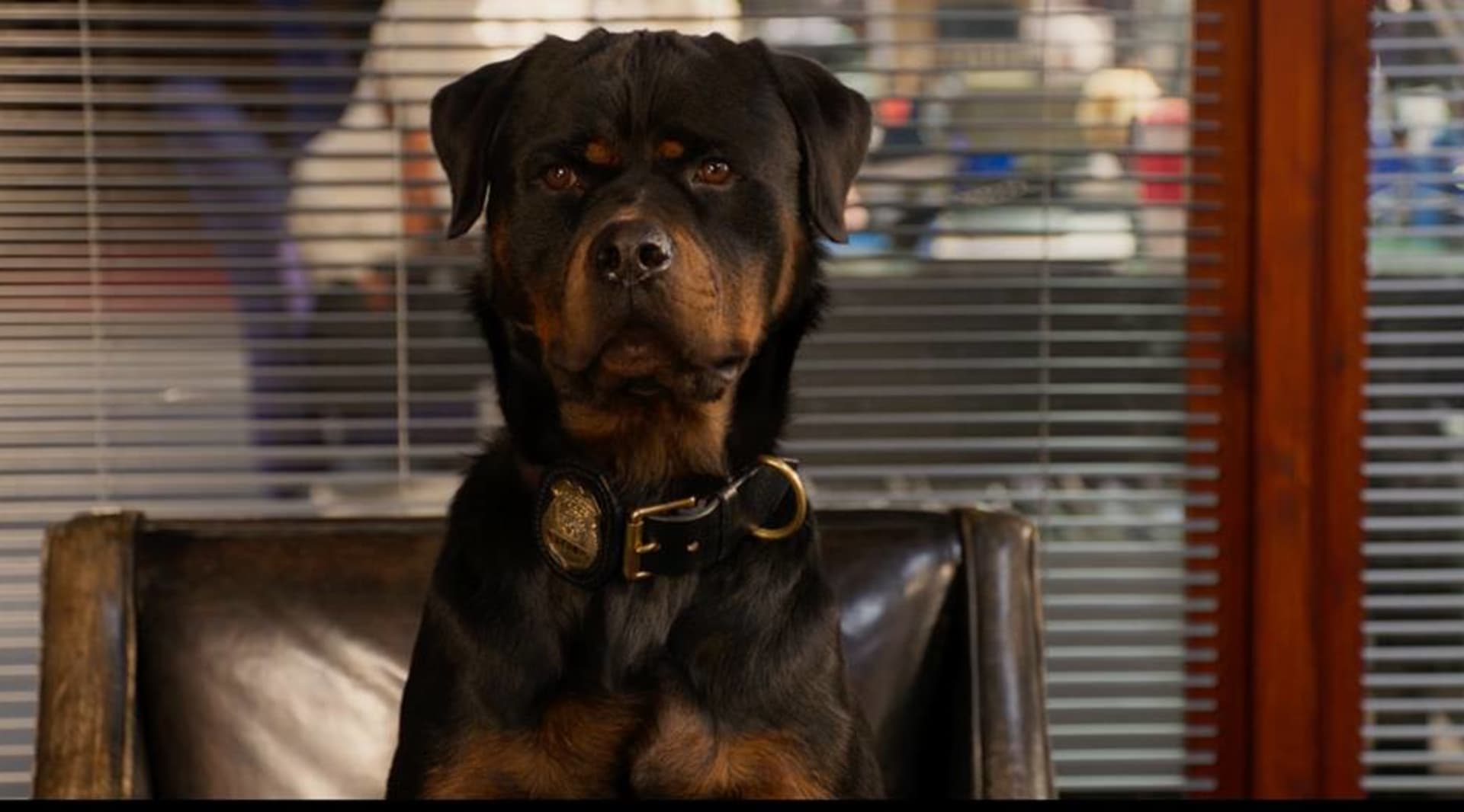 movie still image