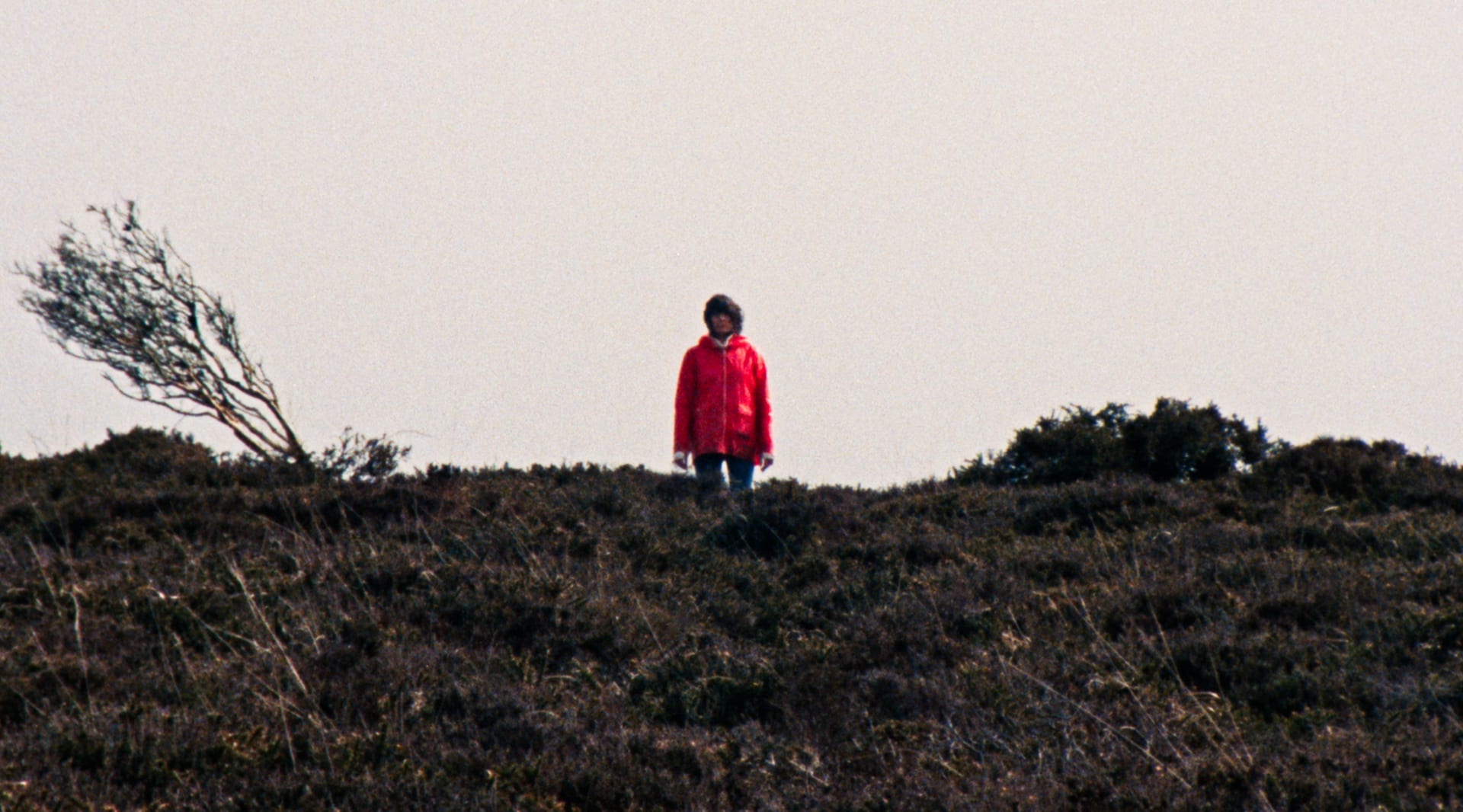 movie still image