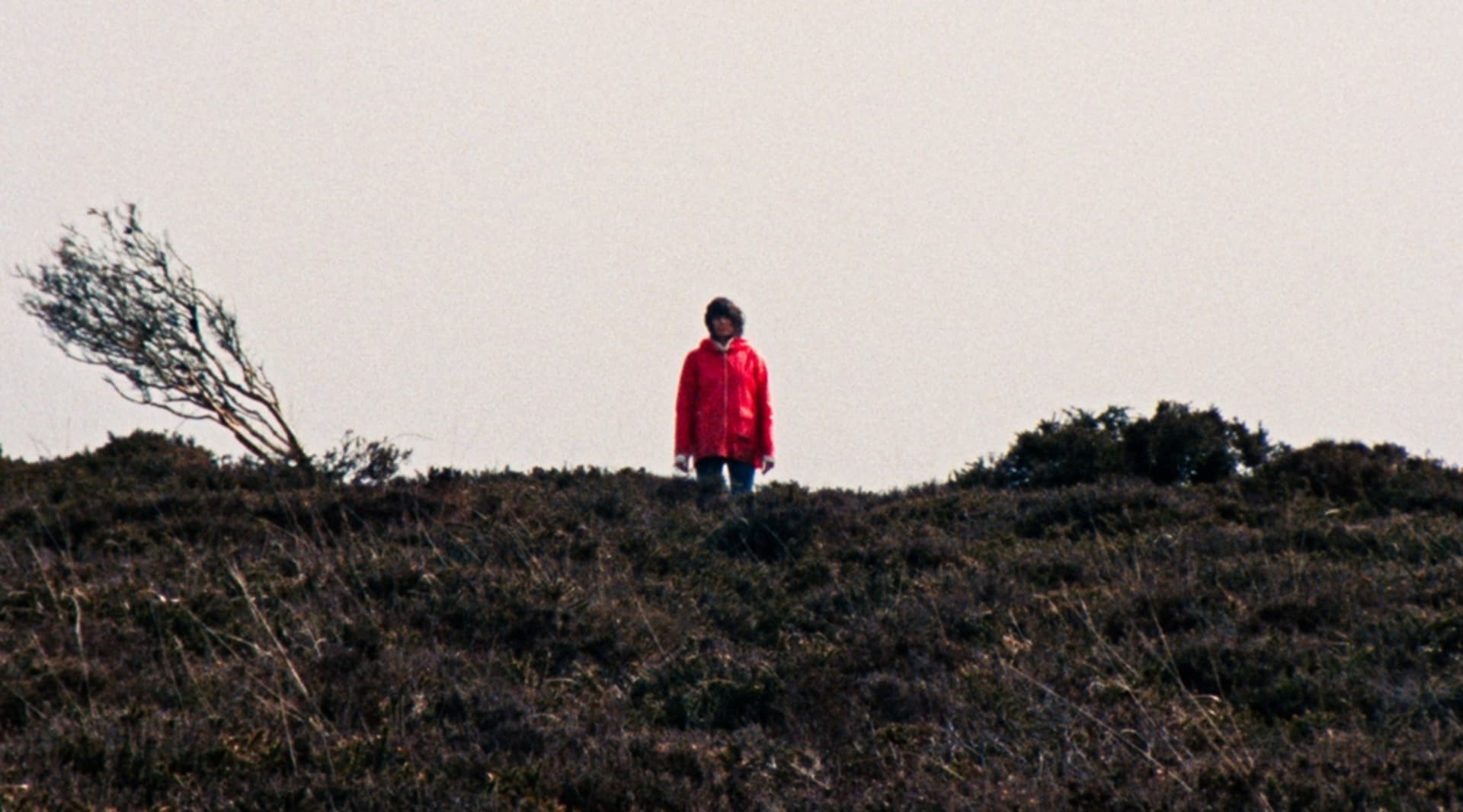 movie still image