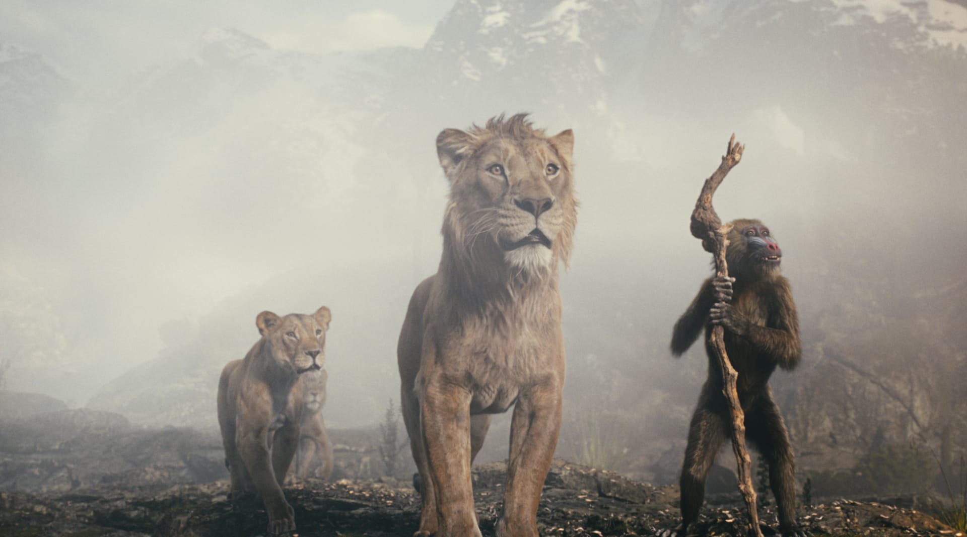 movie still image