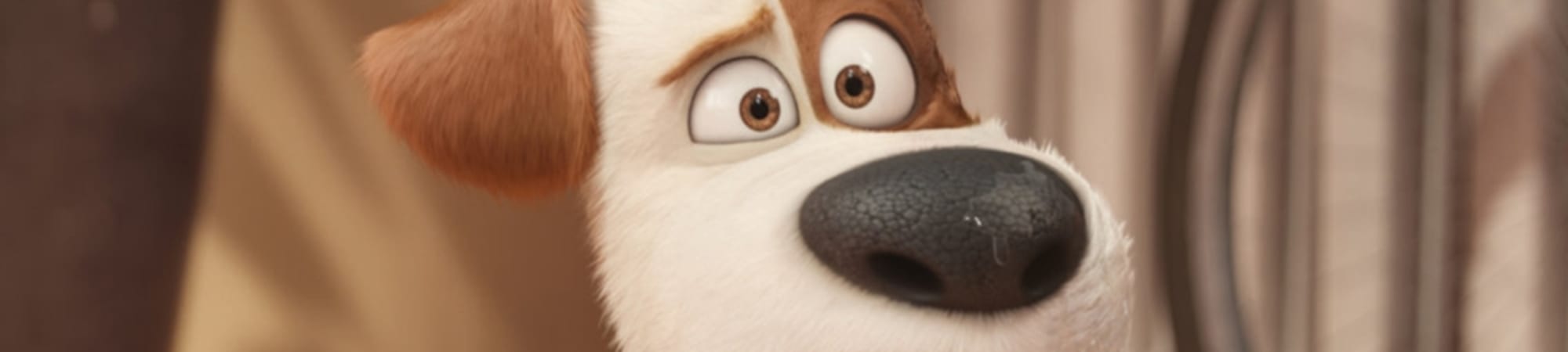 The Secret Life Of Pets