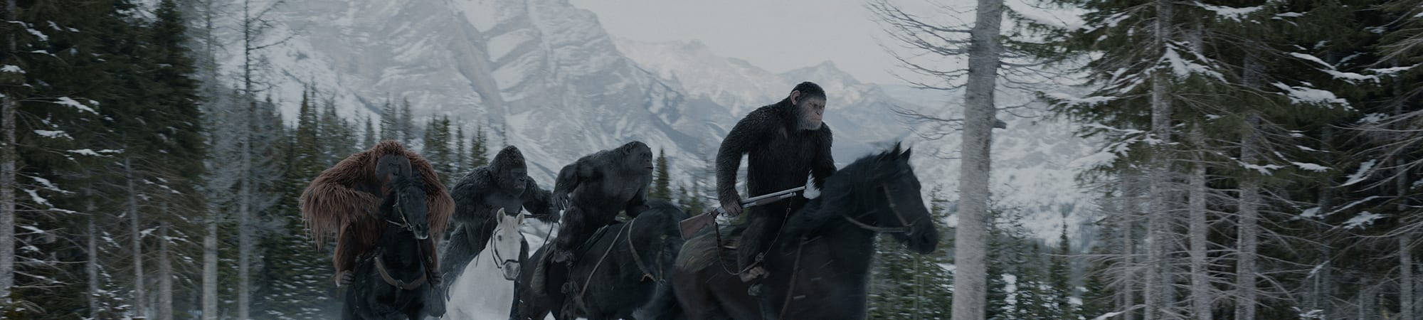 War For The Planet Of The Apes