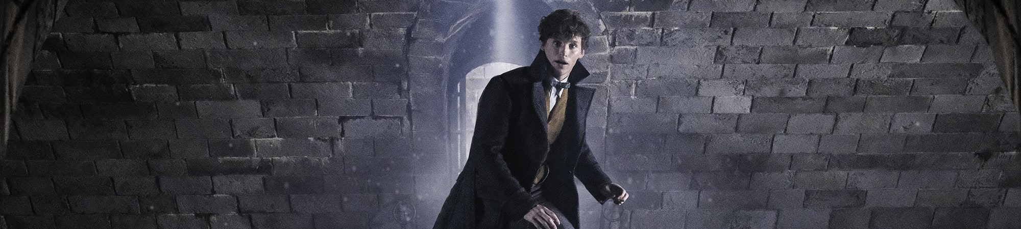 Fantastic Beasts: The Crimes Of Grindelwald