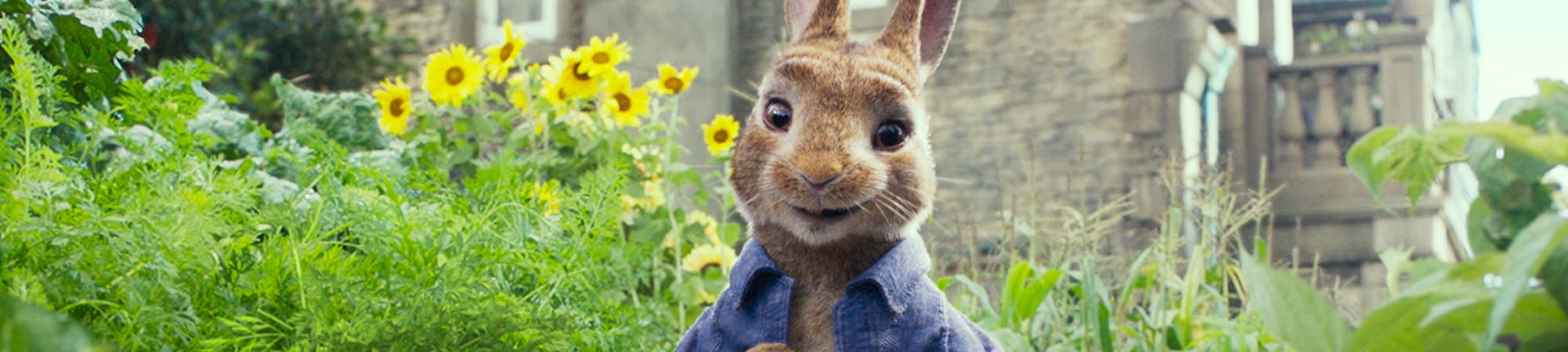 Peter Rabbit