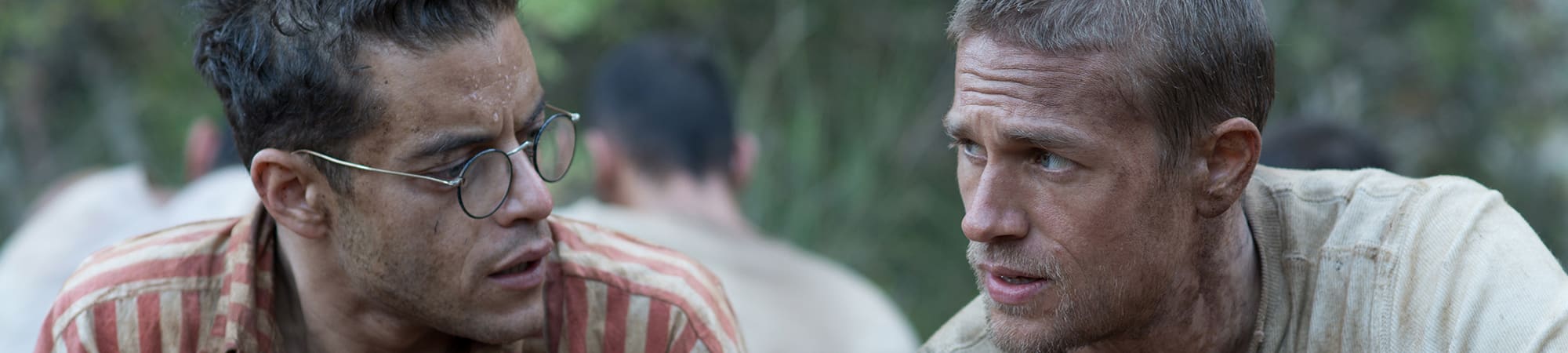 Papillon