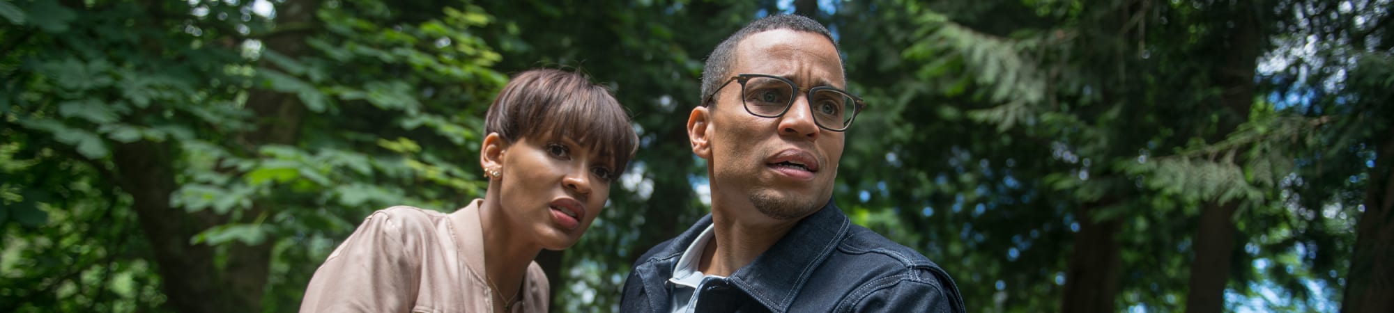 The Intruder (2019)