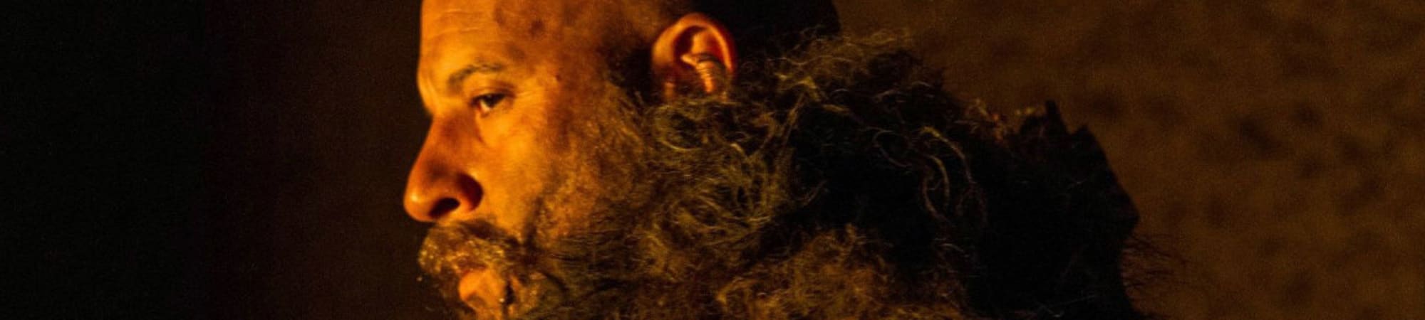 The Last Witch Hunter
