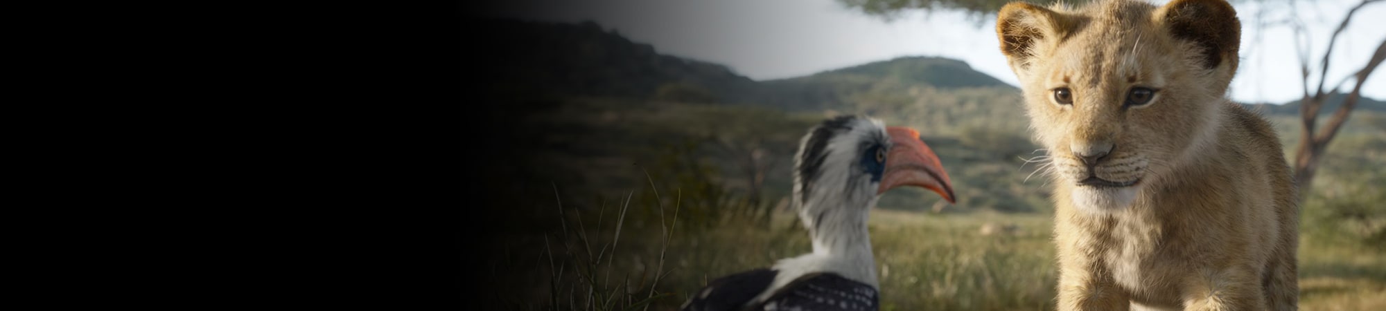 Opening Night Fan Event: The Lion King