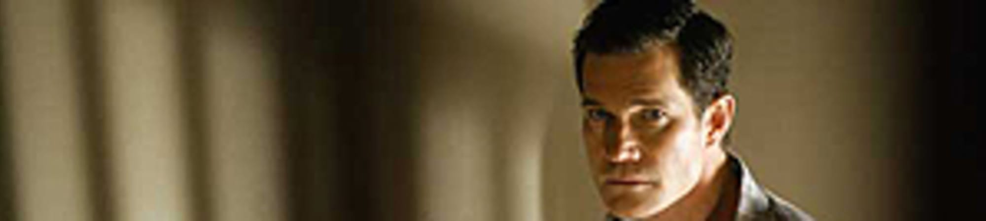 The Stepfather
