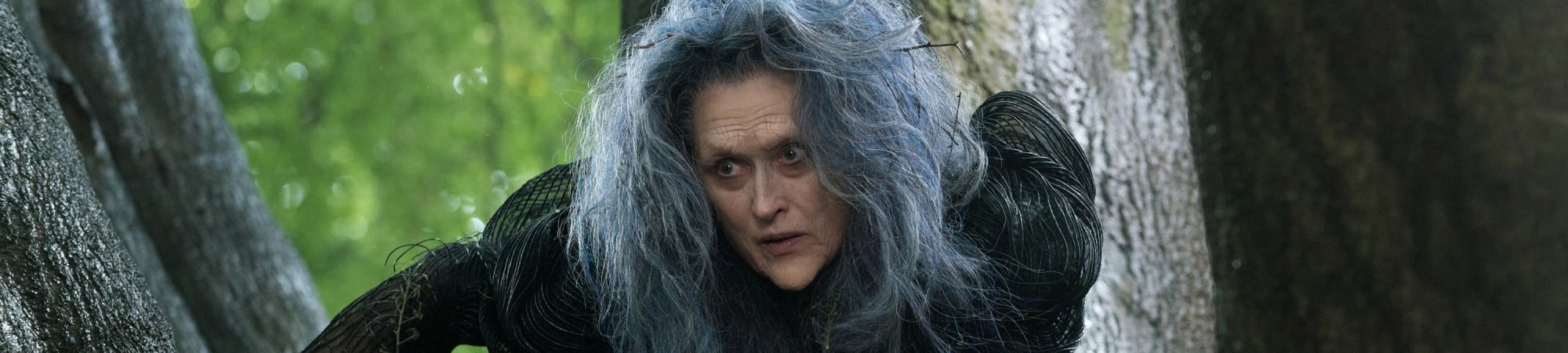 Into The Woods