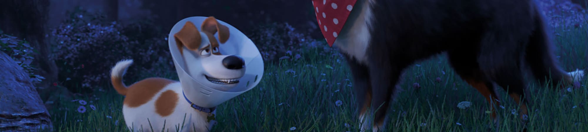 The Secret Life of Pets 2-Movie Collection
