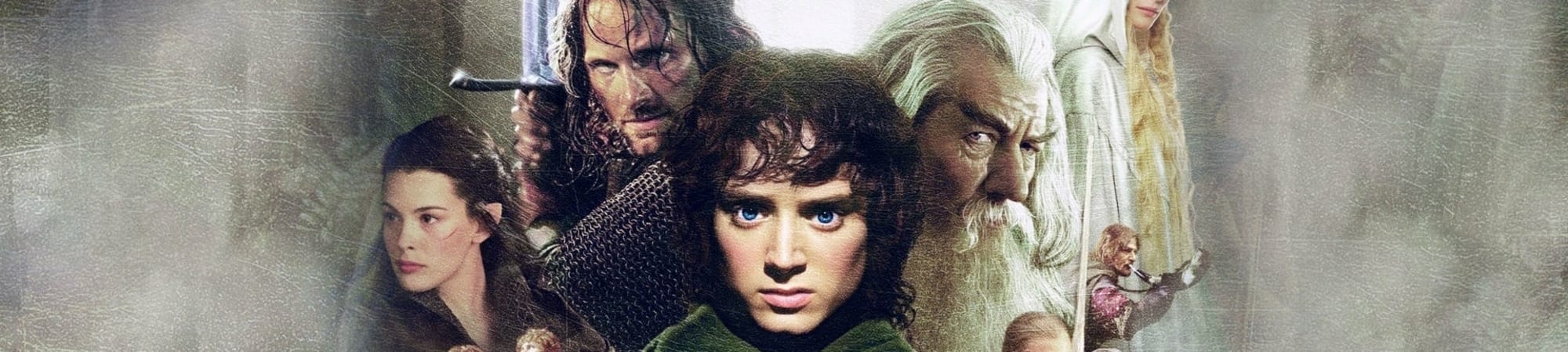 Lord of the Rings: Fellowship Of The Ring