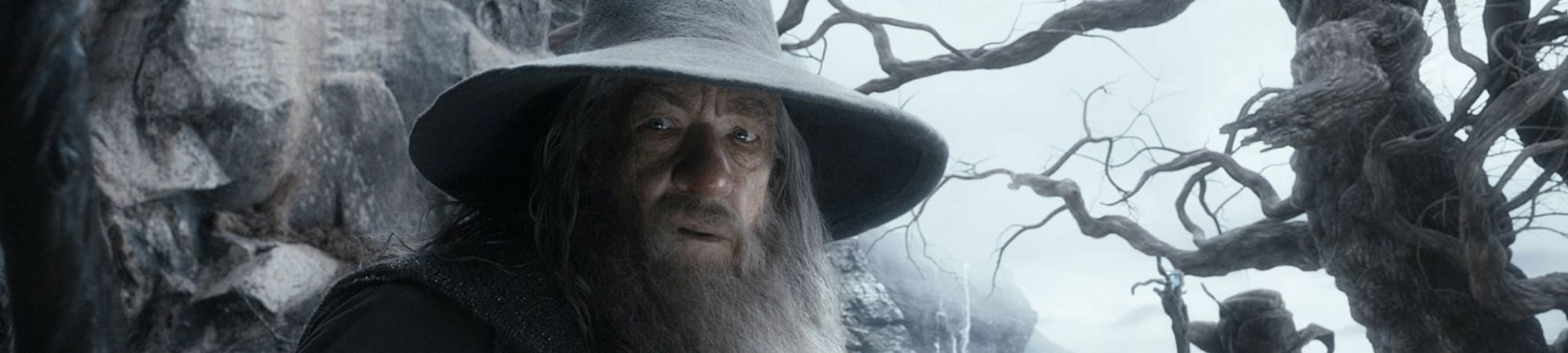The Hobbit: The Motion Picture Trilogy (Extended Edition)
