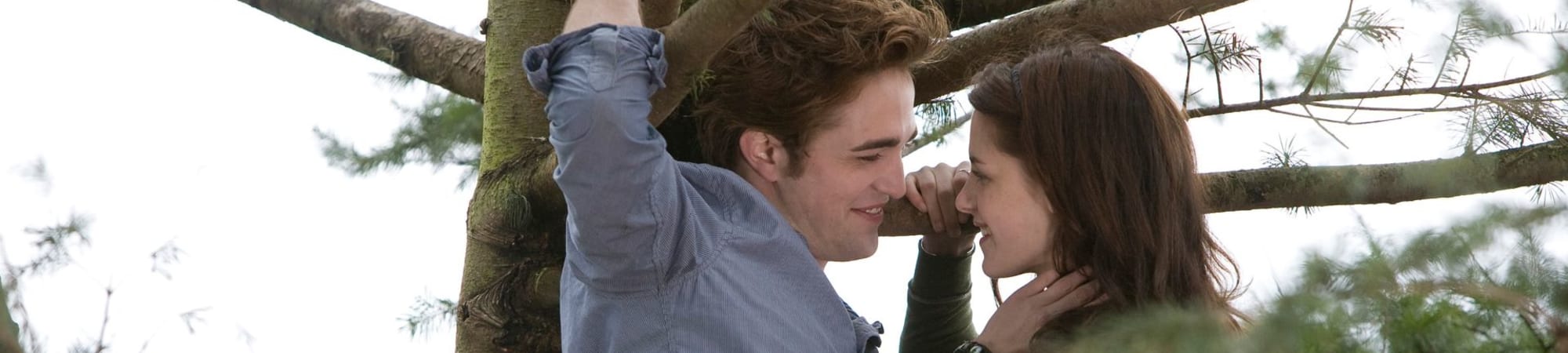 Twilight (2008)