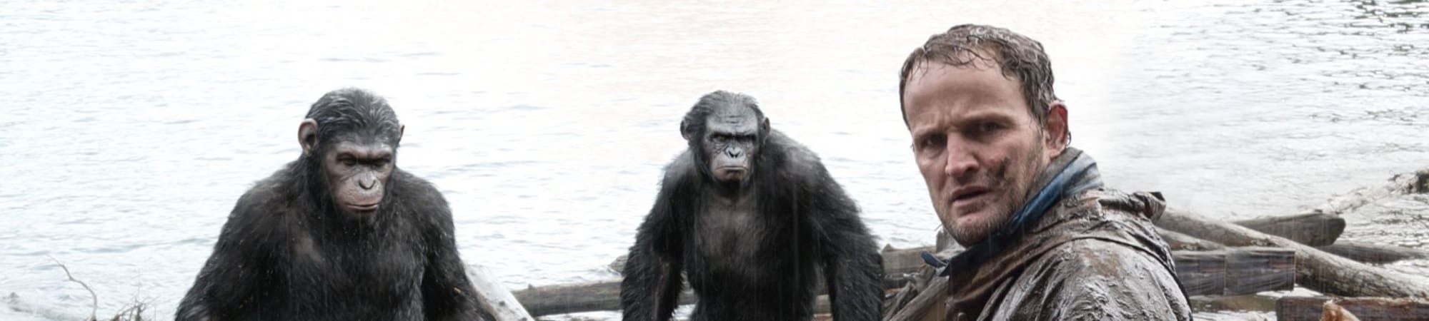 Dawn Of The Planet Of The Apes