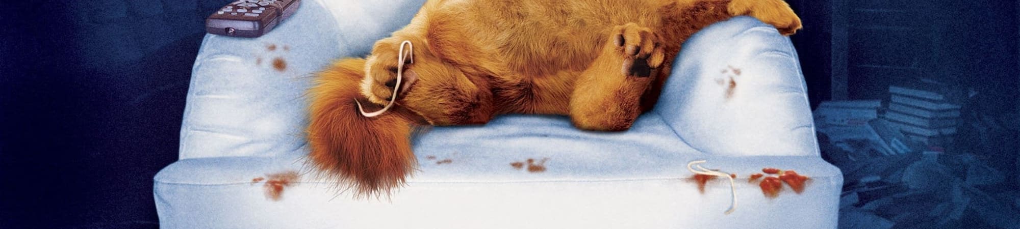 Garfield (2004)