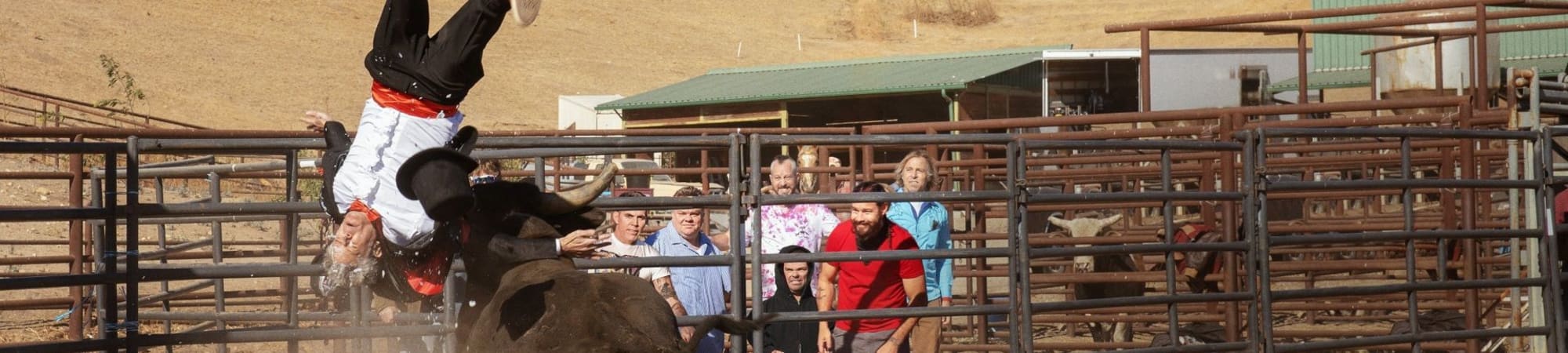 Jackass 4-Movie Collection