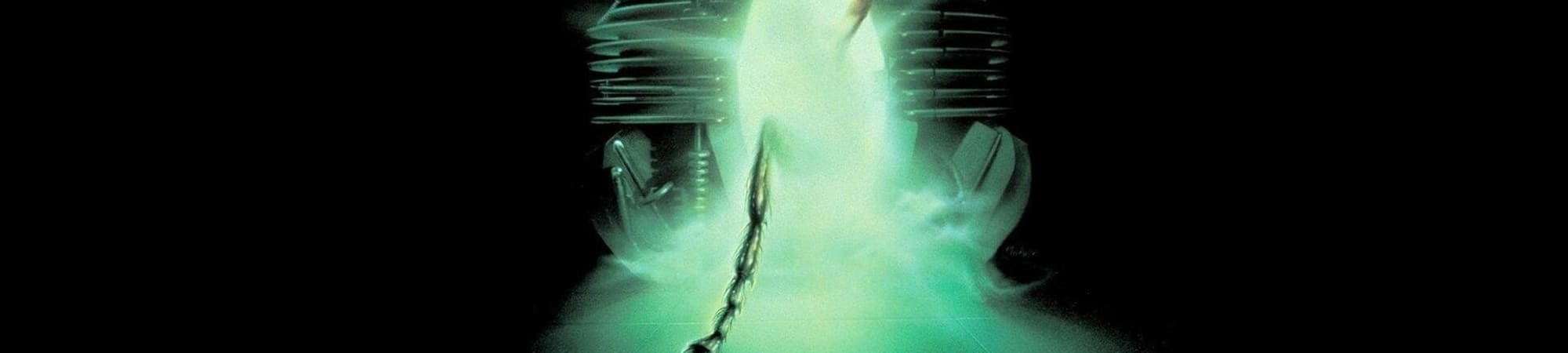 The Fly