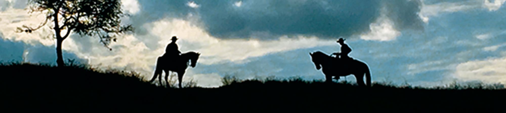 Mirando al Cielo