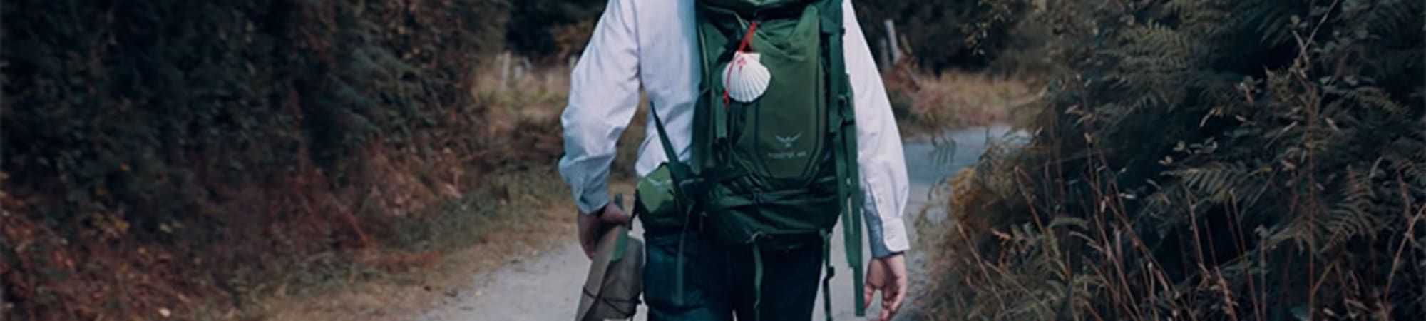 Santiago: The Camino Within
