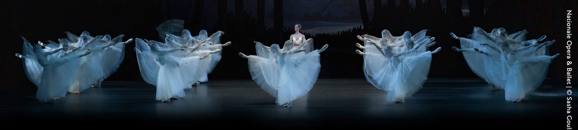 Giselle: Ballet in Cinema