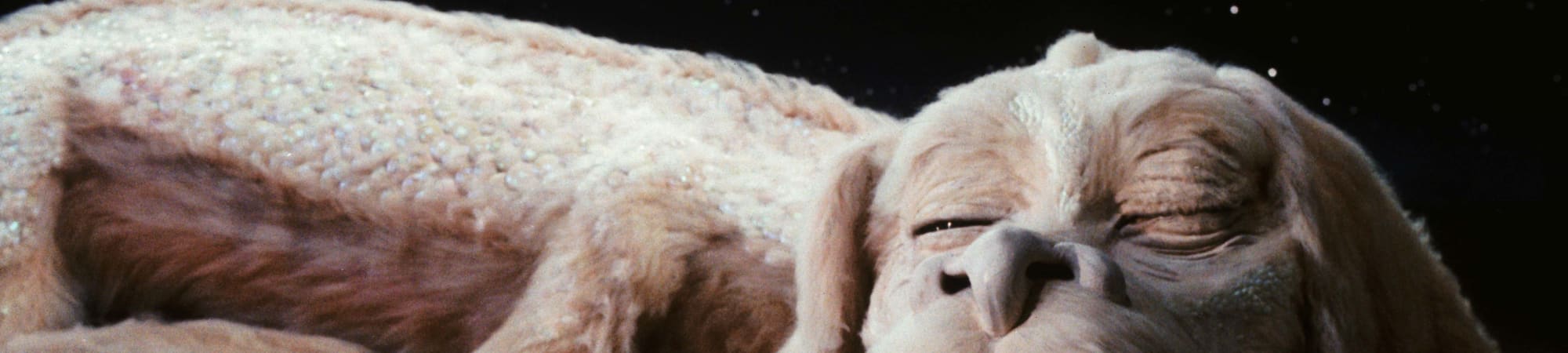 The NeverEnding Story 40th Anniversary