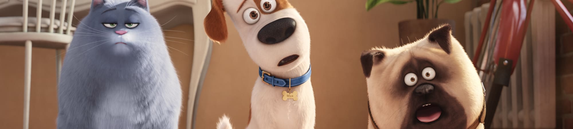 The Secret Life Of Pets