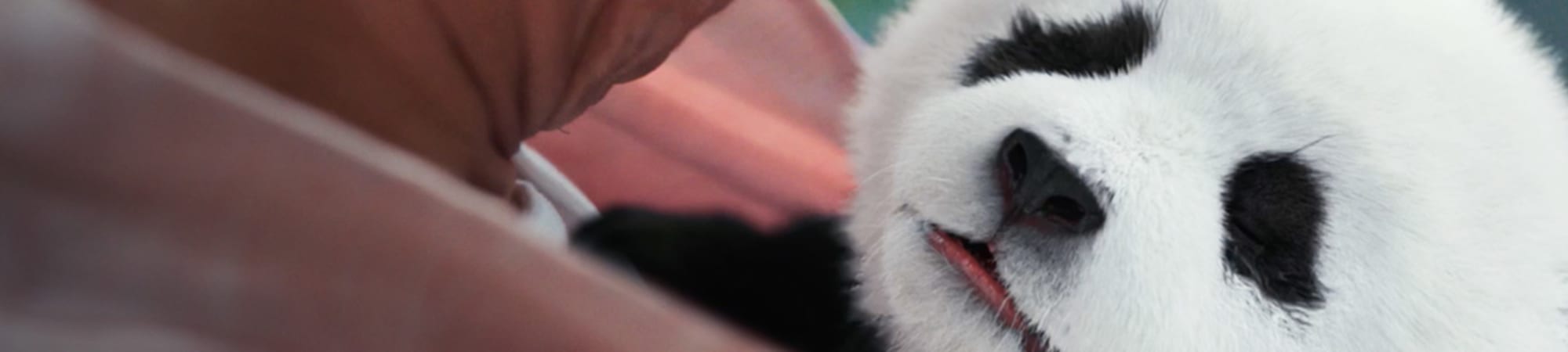Panda Plan