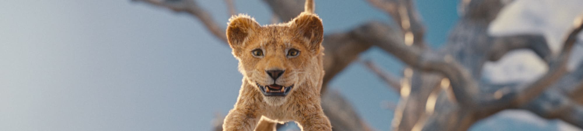 Mufasa: The Lion King RealD 3D Fan Event
