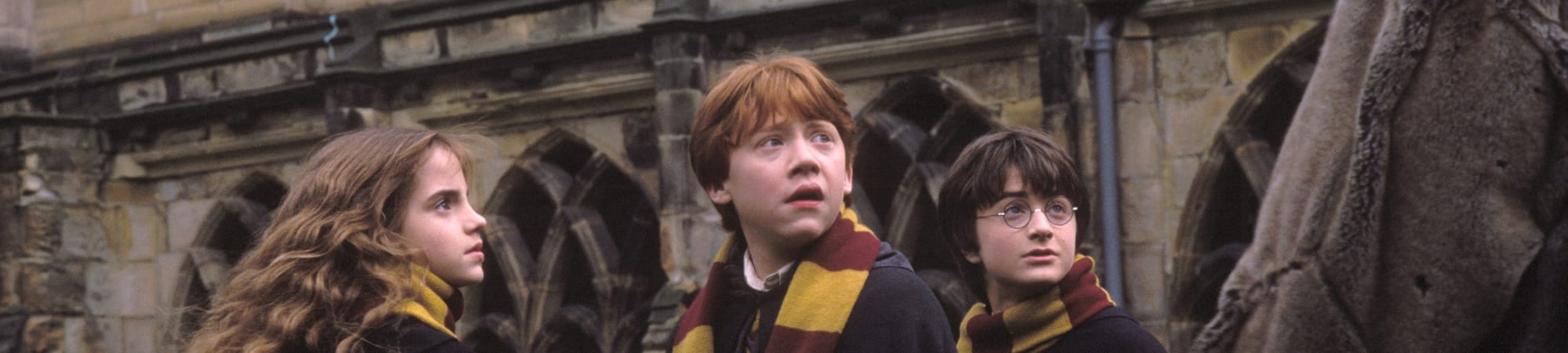 Harry Potter & the Chamber of Secrets (Fathom 2025)