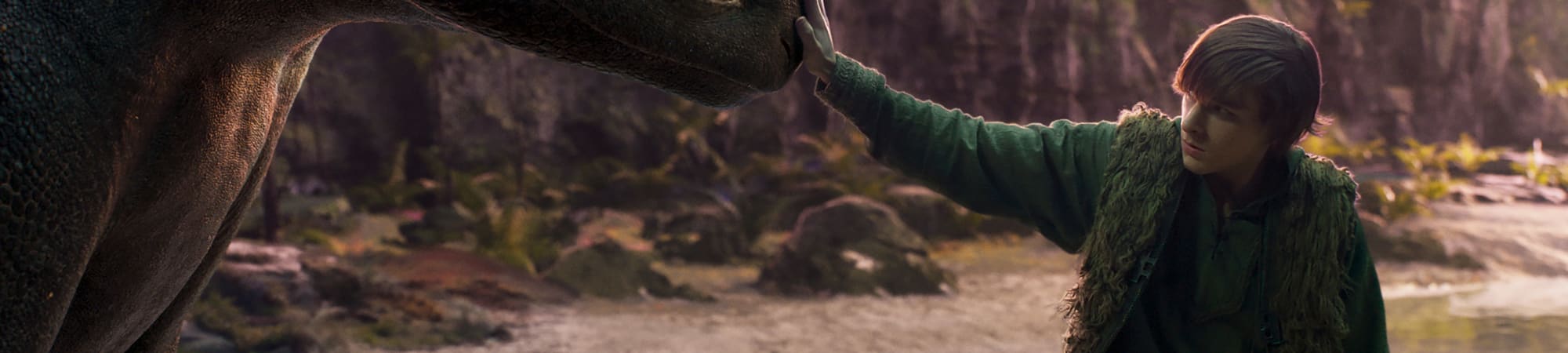 How to Train Your Dragon