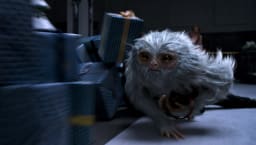 movie still image thumbnail