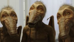 movie still image thumbnail