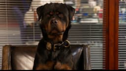 movie still image thumbnail