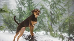movie still image thumbnail