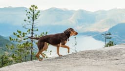 movie still image thumbnail